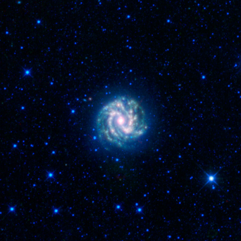 A glowing blue/white pinwheel-shaped spiral galaxy in field of stars.