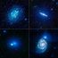 A collage of galaxies is shown to celebrate the one-year anniversary of WISE.
