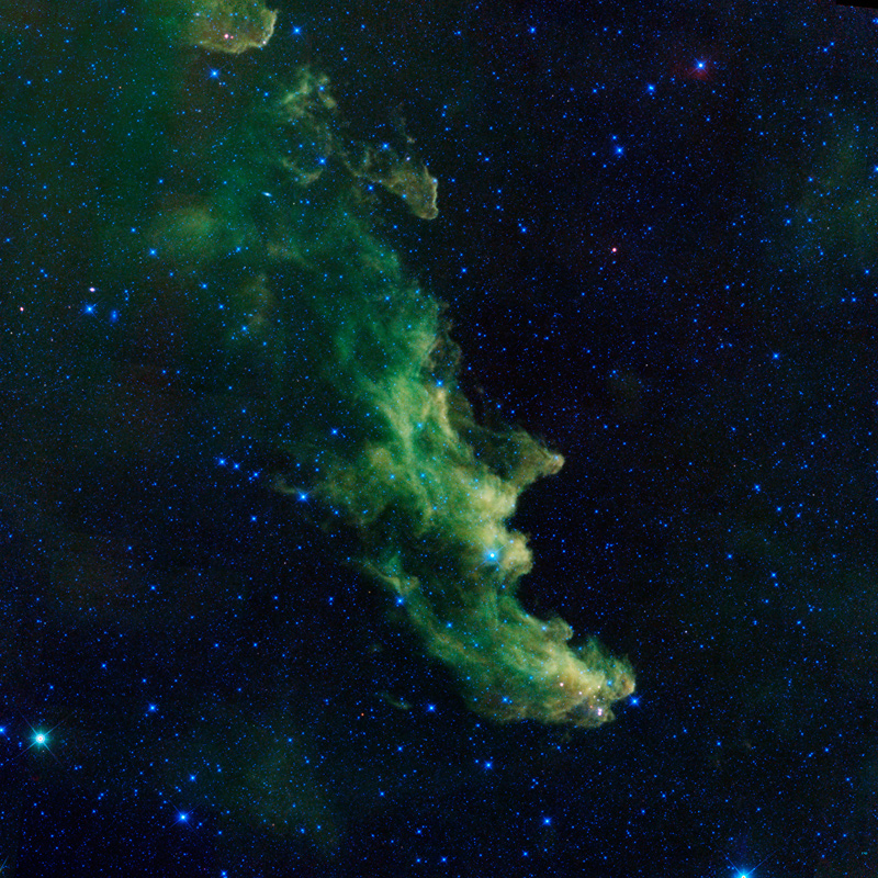 An infrared portrait of the Witch Head nebula from NASA's Wide-field Infrared Survey Explorer, or WISE, shows billowy clouds where new stars are brewing.