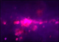 The central region of the Milky Way as seen in infrared light by the IRAS mission 20 years ago. 