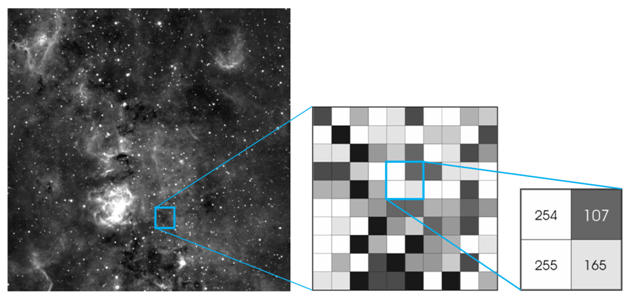 An image showing how digital images are comprised of numerical intensity values - one for each grayscale pixel.