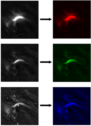 An image showing the outcome of assigning a single color to a grayscale image.  Here, we see the effects of assigning blue, green, and red to the same grayscale image.