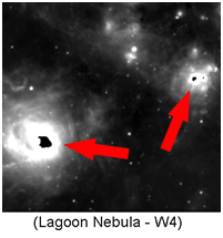 An image showing what saturated pixels look like.  In this image, black regions, indicated by the arrows, show groups of saturated pixels.